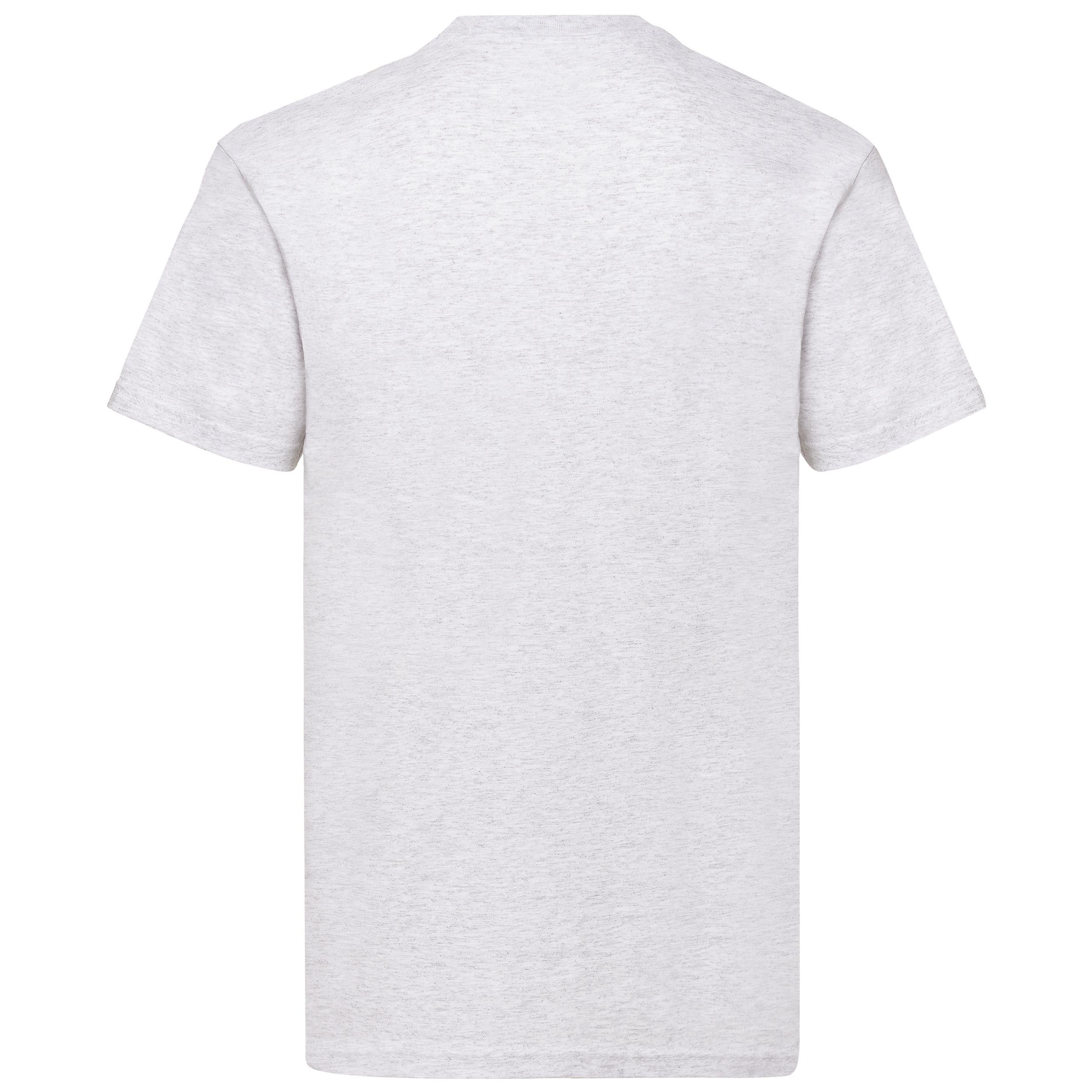 Fruit of the Loom - T-SHIRT HOMME VALUEWEIGHT (61-036-0) - Ash - 3XL