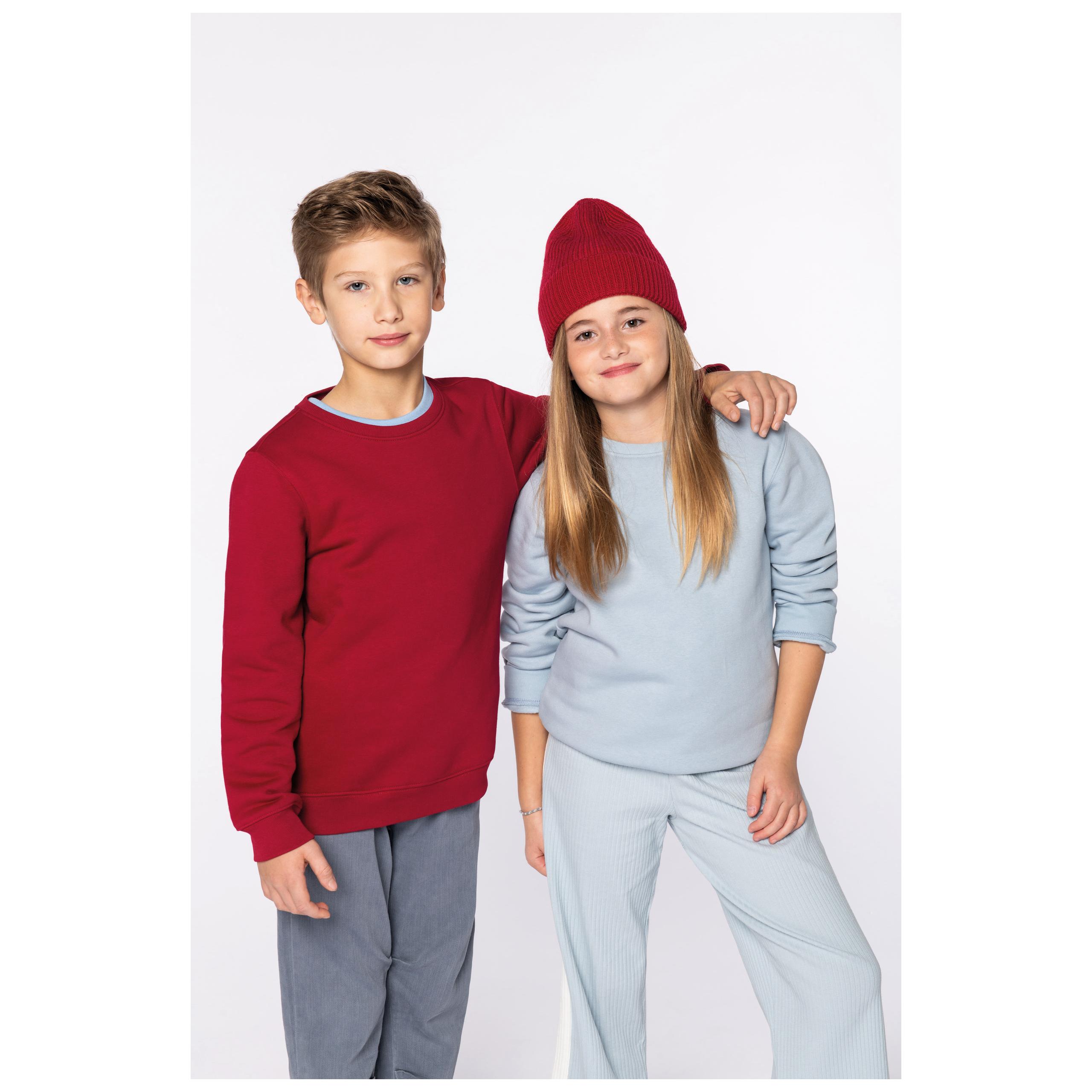 Native Spirit - Sweat enfant - 350g - Aquamarine - 4/6 ans