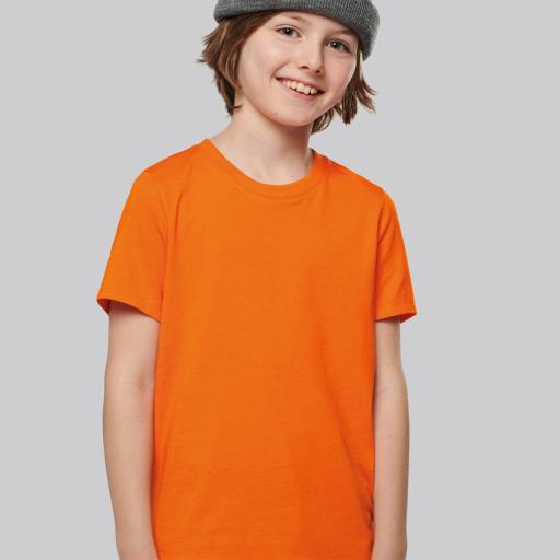 Ash Heather - 2/4 ans