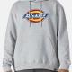 Dickies - Sweat-shirt LOGO à capuche homme (TW45A) - Black - S