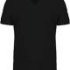 Kariban - T-shirt coton Bio col V homme - Black - 3XL