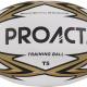 PROACT® - Ballon challenger T5 - White / Black / Gold - Taille 5