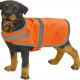 Yoko - GILET RÉFLÉCHISSANT POUR CHIEN - Hi Vis Orange - L